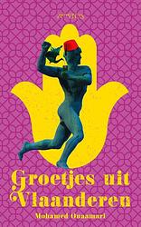 Foto van Groetjes uit vlaanderen - mohamed ouaamari - ebook (9789044641592)