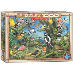 Foto van Garden birds - joahn francis (1000 stukjes) - puzzel;puzzel (0628136609678)