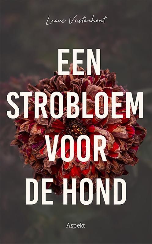 Foto van Een strobloem voor de hond - lucas vastenhout - paperback (9789464629088)