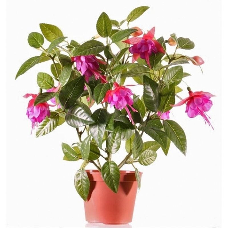 Foto van Roze fuchsiaplant kunstplant 30 cm voor binnen - kunstplanten