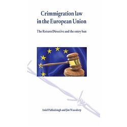 Foto van Crimmigration law in the european union