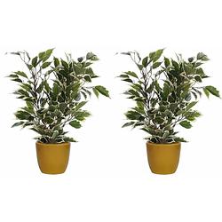 Foto van 2x stuks groen/witte ficus kunstplant 40 cm met plantenpot okergeel d13.5 en h12.5 cm - kunstplanten