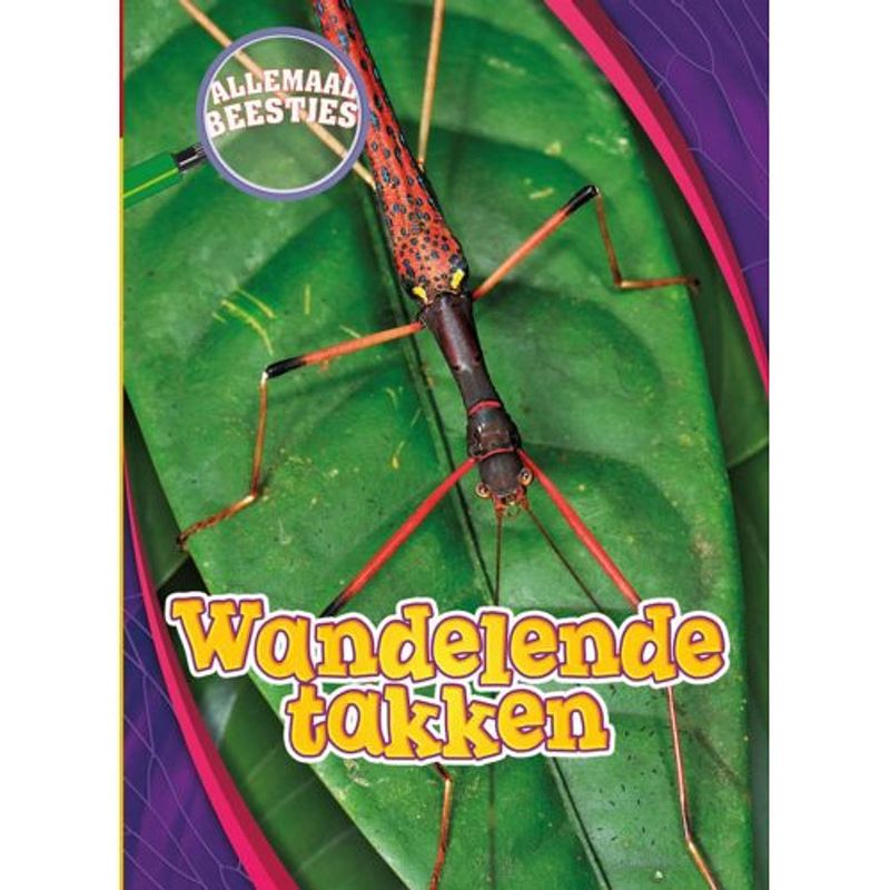 Foto van Wandelende takken - allemaal beestjes