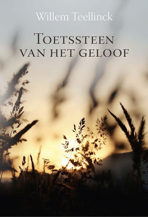 Foto van Toetssteen van het geloof - willem teellinck - ebook (9789087185107)