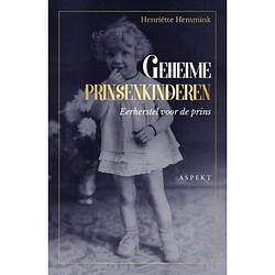 Foto van Geheime prinsenkinderen