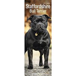 Foto van Staffordshire bull terrier kalender 2023 slimline