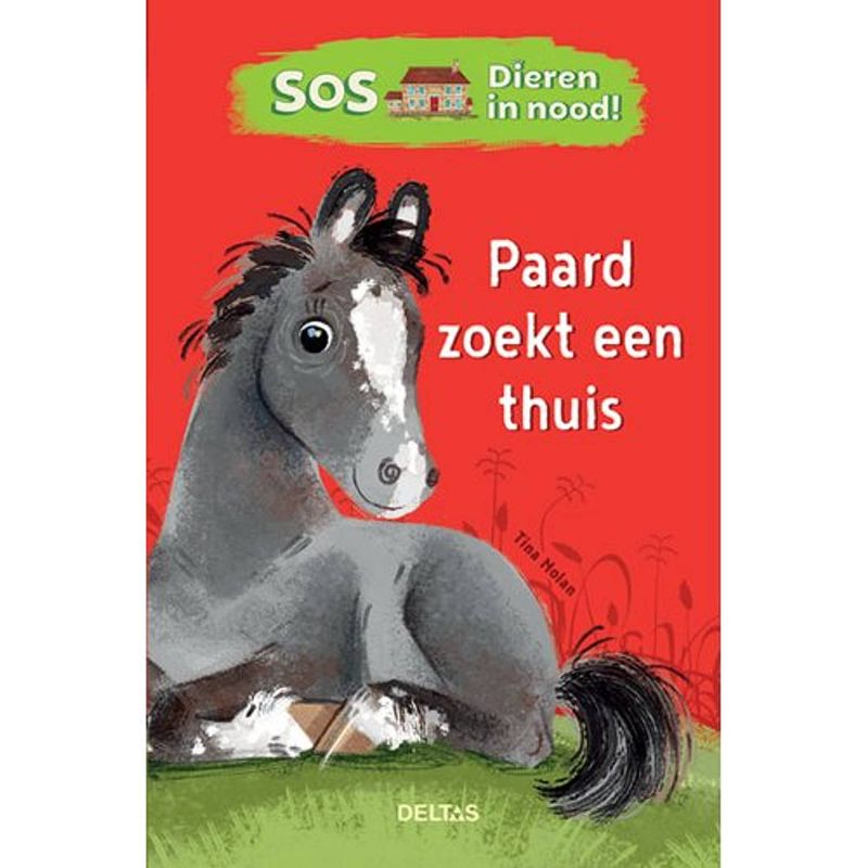 Foto van Paard zoekt een thuis - sos dieren in nood!