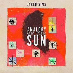 Foto van Analogy of the sun - cd (0612262105128)