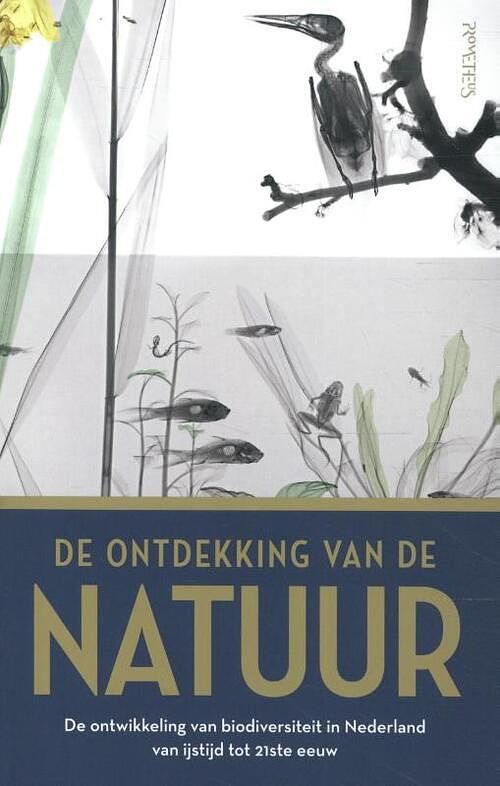 Foto van De ontdekking van de natuur - jan luiten van zanden - paperback (9789044650952)