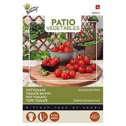 Foto van Buzzy - patio veggies, tomaat gourmandise red