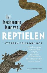 Foto van Het fascinerende leven van reptielen - sterrin smalbrugge - ebook (9789464040951)