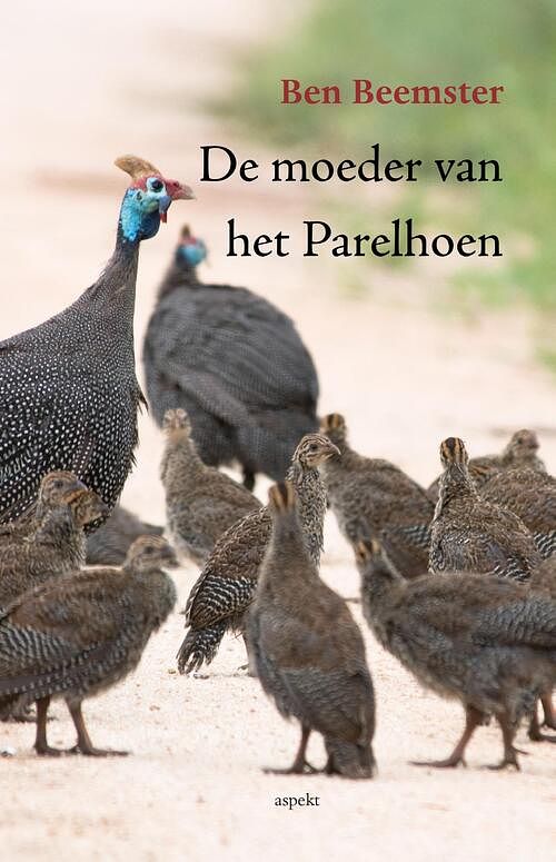 Foto van De moeder van het parelhoen - ben beemster - ebook (9789464244496)