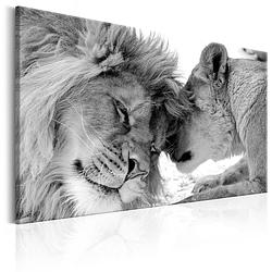 Foto van Artgeist lions love canvas schilderij 90x60cm