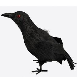 Foto van Raaf/kraai - zwart - halloween decoratie dieren - 20 cm - feestdecoratievoorwerp
