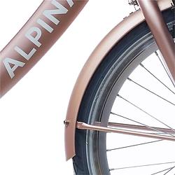 Foto van Alpina spatbord set + stang 20 clubb rose gold matt