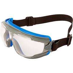 Foto van 3m goggle gear 500 gg501nsgaf-blu ruimzichtbril met anti-condens coating blauw, grijs din en 166