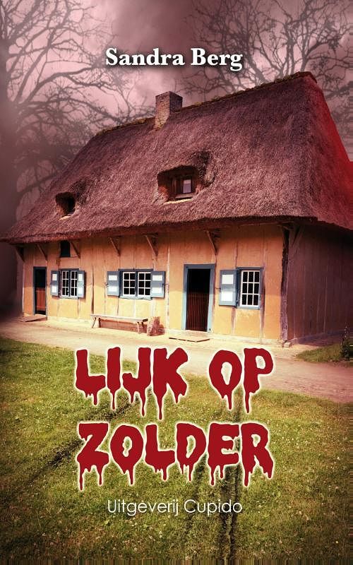 Foto van Lijk op zolder - sandra berg - ebook (9789462041288)