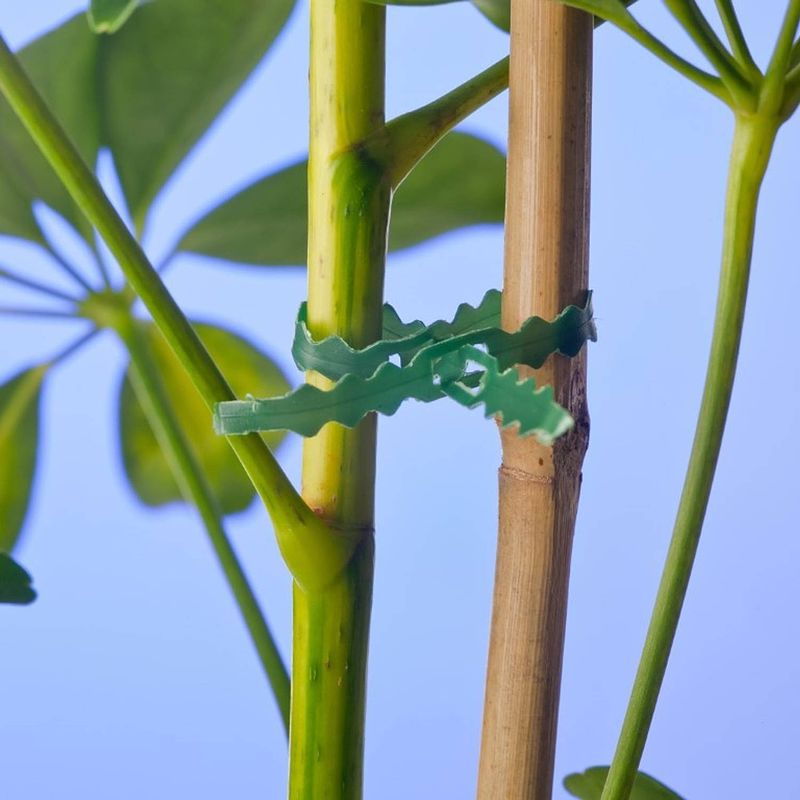 Foto van Nature - bindband met rattenstaartsluiting 25m