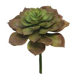 Foto van Kunst echeveria vetplant 17 cm - roze