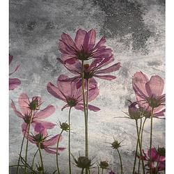 Foto van Dimex violet flower abstract fotobehang 225x250cm 3-banen