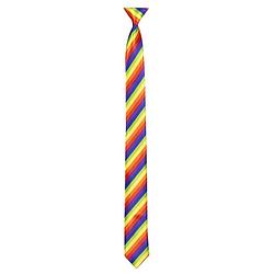 Foto van Verkleed stropdas regenboog kleuren 54 cm - verkleedstropdassen