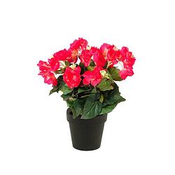 Foto van Begonia kunstplant roze 30cm