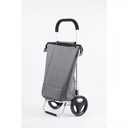 Foto van Rixx shopping trolley - 38 l - staalgrijs