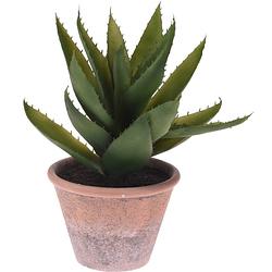 Foto van Cactus kunstplant in terracotta pot 33 cm - kunstplanten
