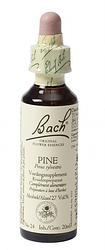 Foto van Bach flower remedies den 24