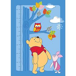 Foto van Winnie the poeh speelkleed 95x133 cm taller