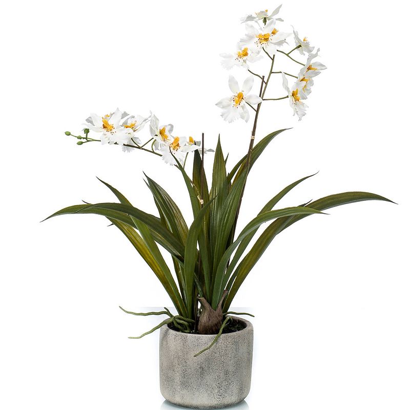 Foto van Witte orchidee orchidaceae kunstplant in keramische pot 45 cm - kunstplanten