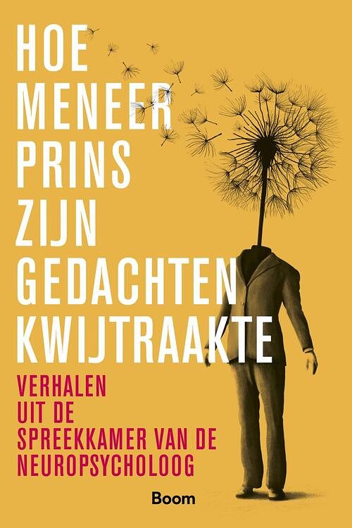 Foto van Hoe meneer prins zijn gedachten kwijtraakte - annelies buhrmann - ebook (9789024446292)