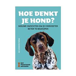 Foto van Hoe denkt je hond?