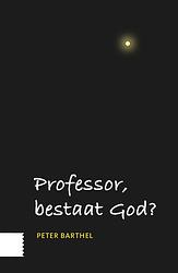 Foto van Professor, bestaat god? - peter barthel - ebook (9789048535347)