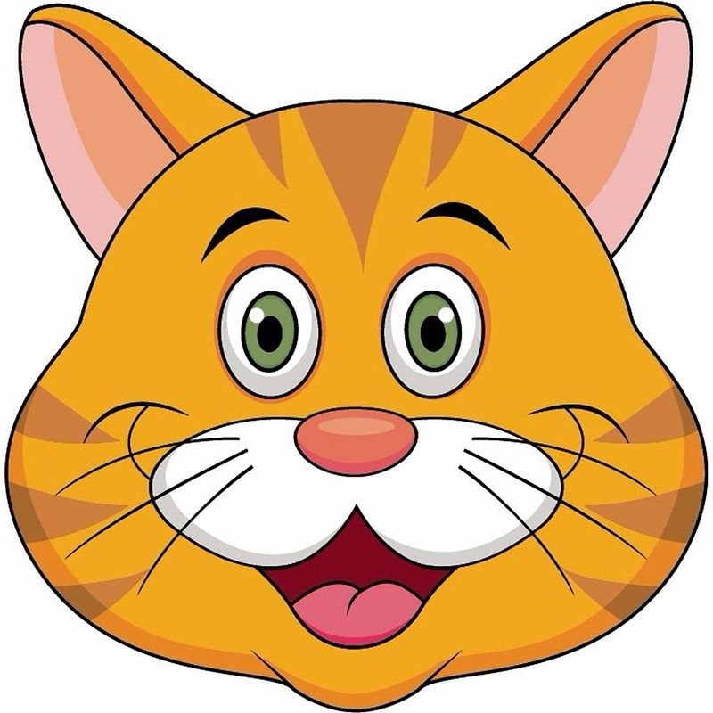 Foto van Kartonnen oranje katten/poezen masker voor kinderen - verkleedmaskers