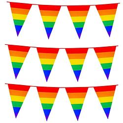 Foto van 3x stuks boland pe vlaggenlijn - 8m - regenboog - universeel thema - vlaggenlijnen