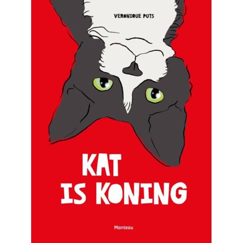 Foto van Kat is koning