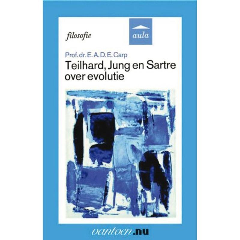 Foto van Teilhard, jung en sartre over evolutie