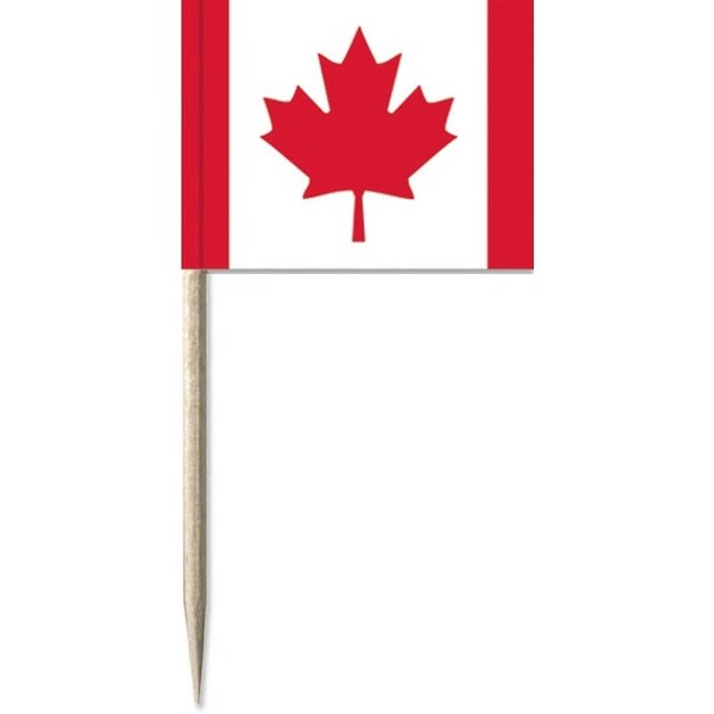 Foto van 100x cocktailprikkers canada 8 cm vlaggetje landen decoratie - cocktailprikkers