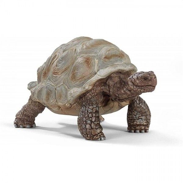 Foto van Schleich 14824 reuzenschildpad