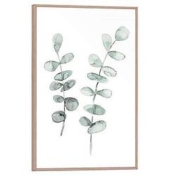 Foto van Poster met lijst eucalypthus slinger - 30x20 cm - leen bakker