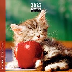 Foto van Kittens kalender 2023