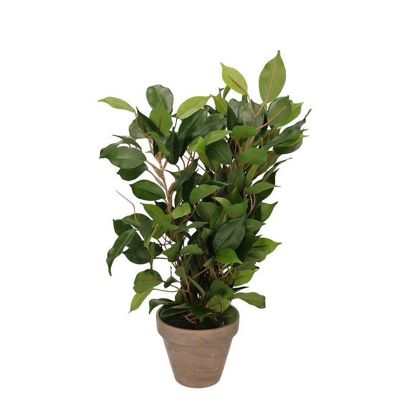 Foto van Groene ficus kunstplant 40 cm - kunstplanten