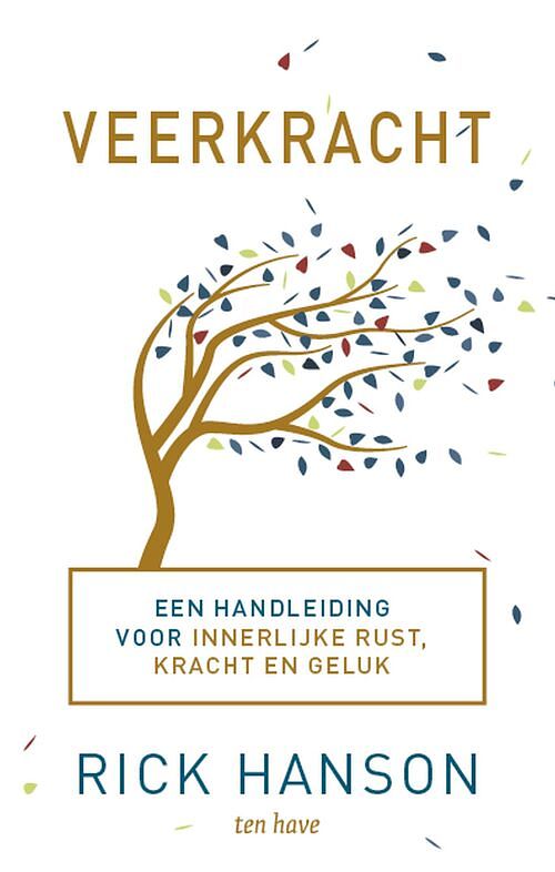 Foto van Veerkracht - rick hanson - ebook (9789025906870)