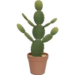 Foto van Groene opuntia/schijfcactus kunstplant 43 cm in bruine pot - kunstplanten