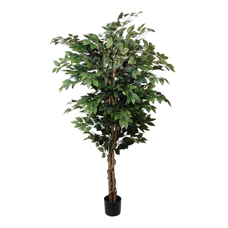 Foto van Kopu® kunstplant ficus benjamina 150 cm in zwarte pot - 1764 bladeren