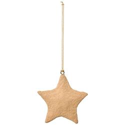 Foto van Broste copenhagen hangornament star pulp