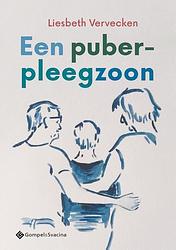 Foto van Een puber-pleegzoon - liesbeth vervecken - paperback (9789463712330)