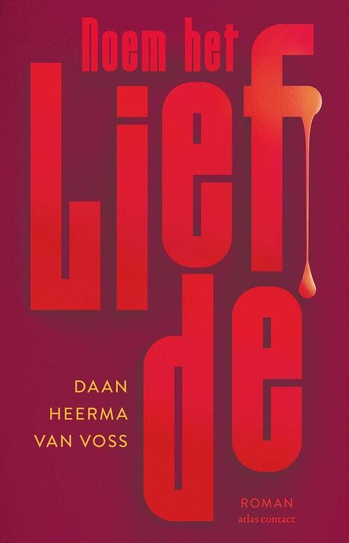 Foto van Noem het liefde - daan heerma van voss - ebook (9789025473648)