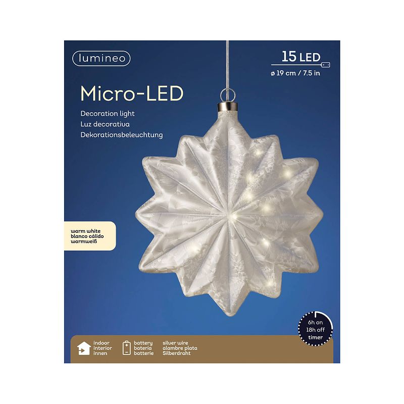 Foto van Lumineo - microled bloem d19l8 cm frost kerst